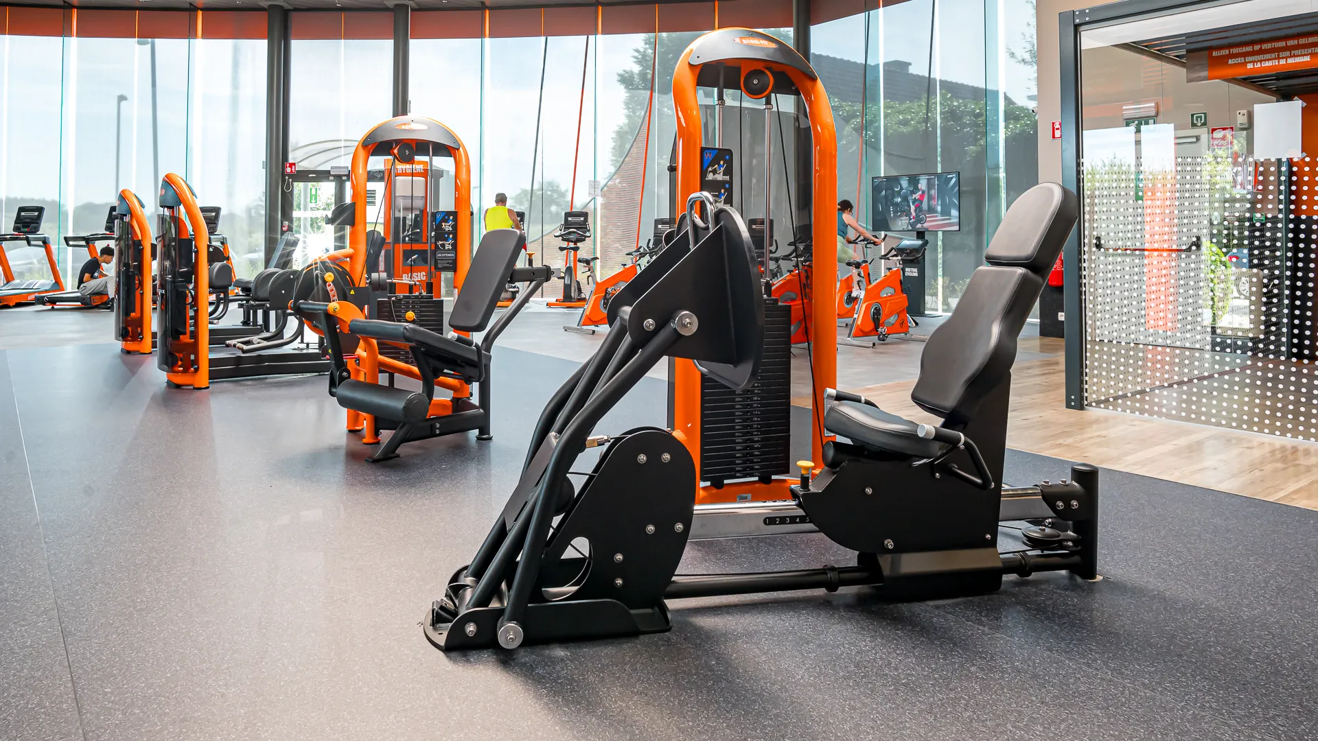 Miniature de la galerie