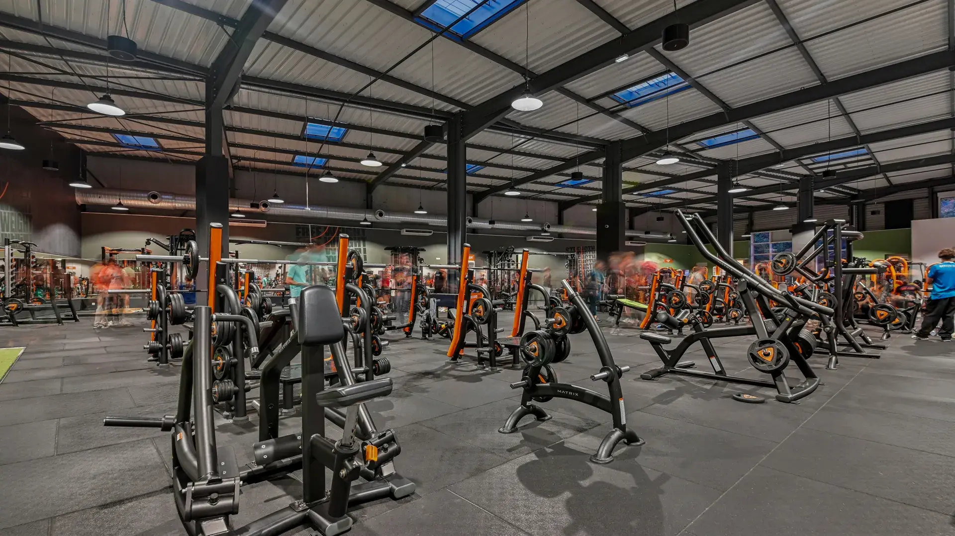 Miniature de la galerie