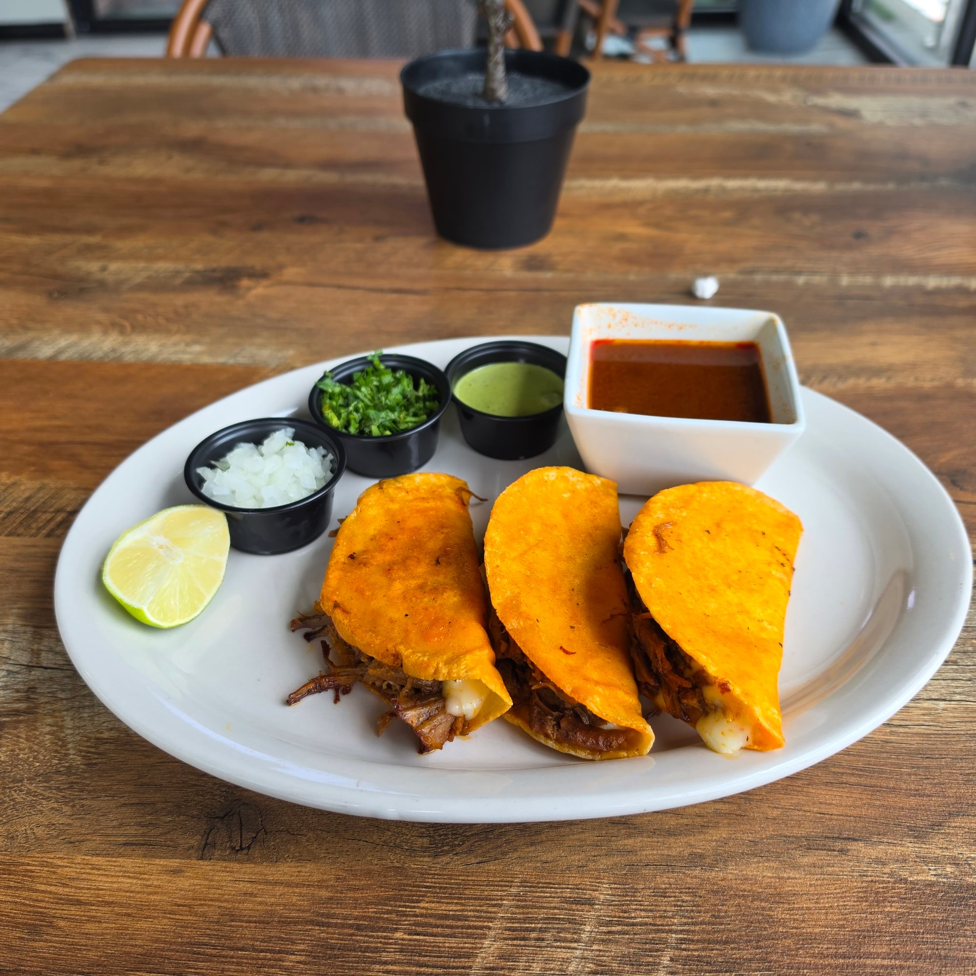 Queso Birria Tacos
