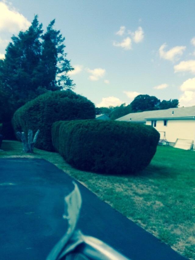 Mike's Landscaping Image