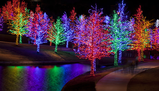 A Brilliant Solution Christmas Lights Image