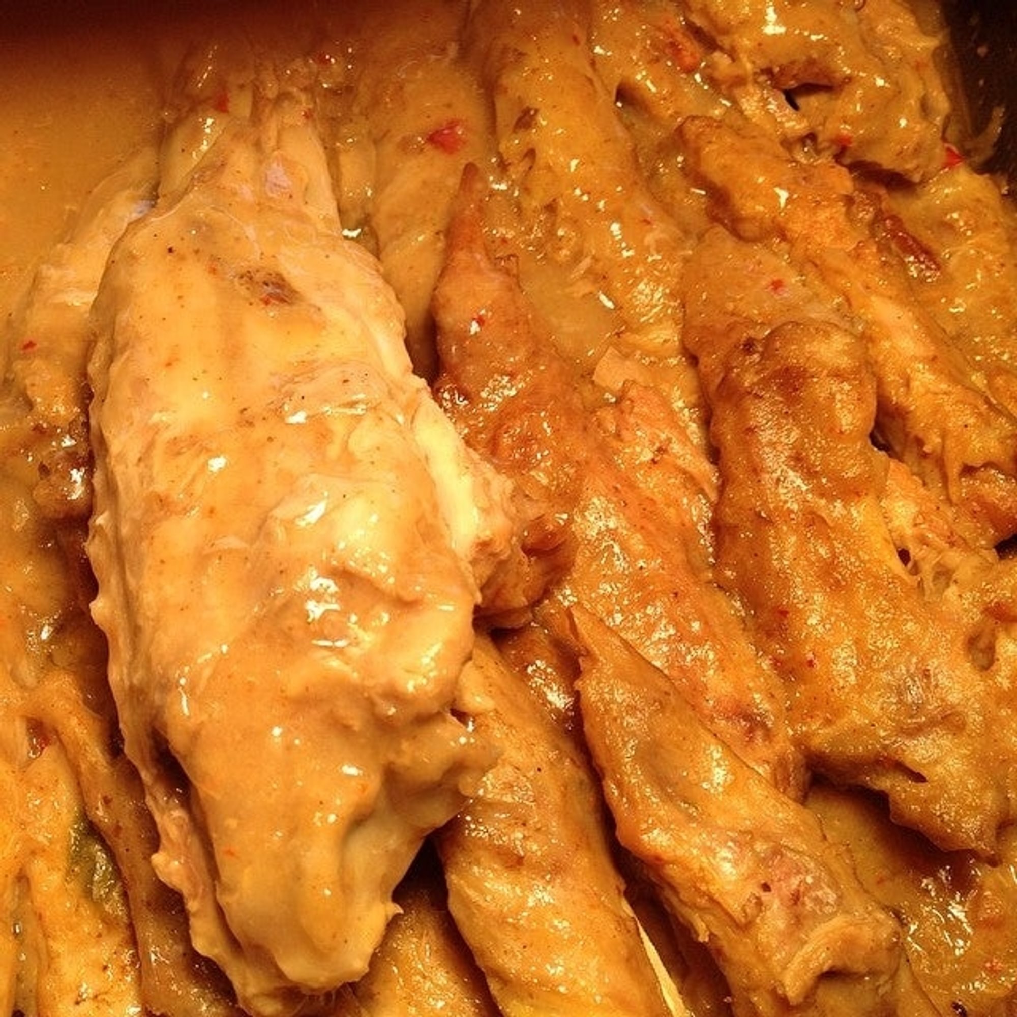 Turkey Wing Recipe