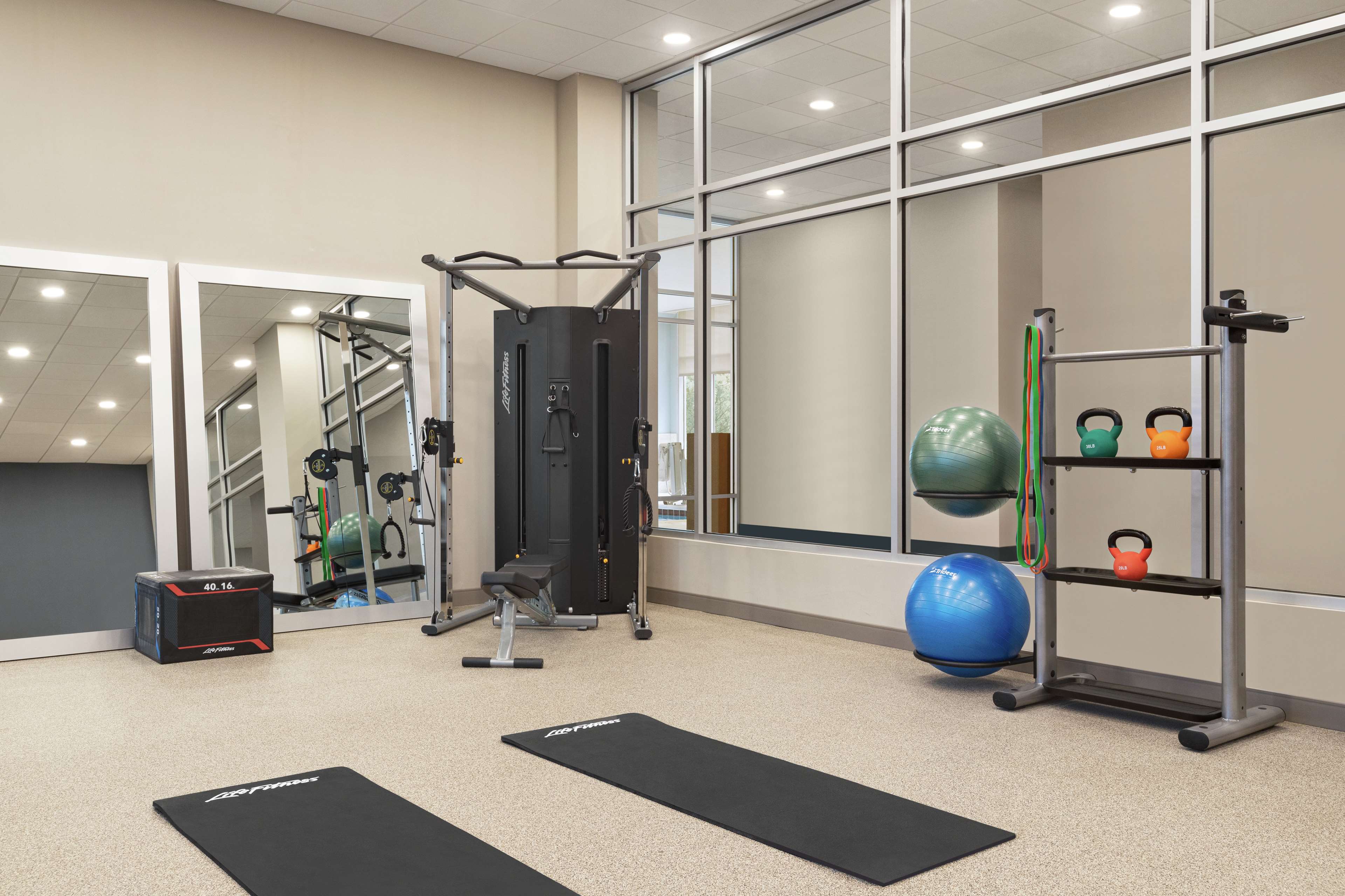 Health club  fitness center  gym