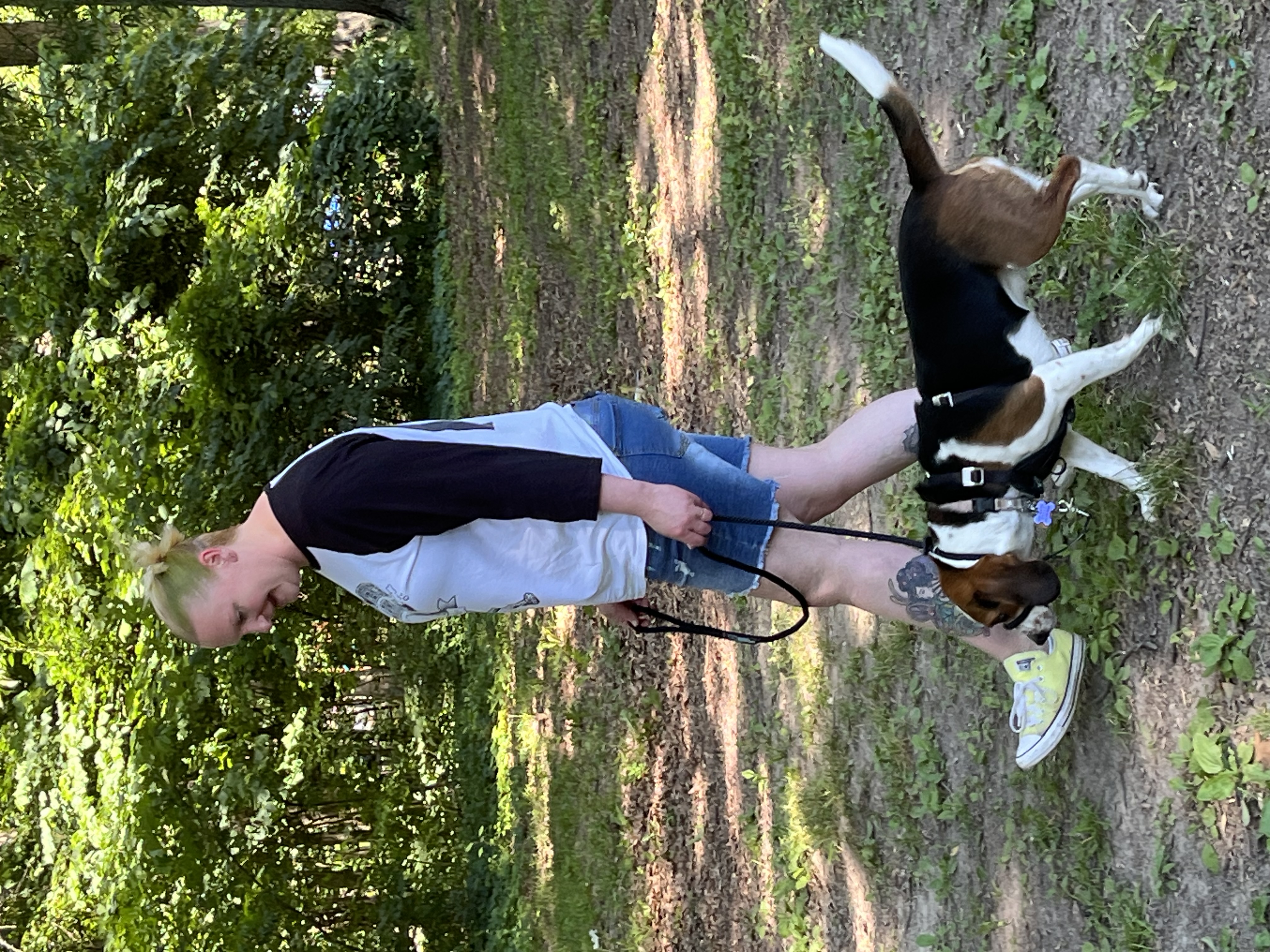 Underdog K-9 Academy LLC Image