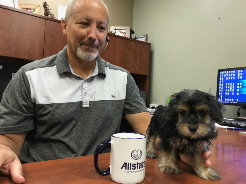 Images Casey Dehmer: Allstate Insurance