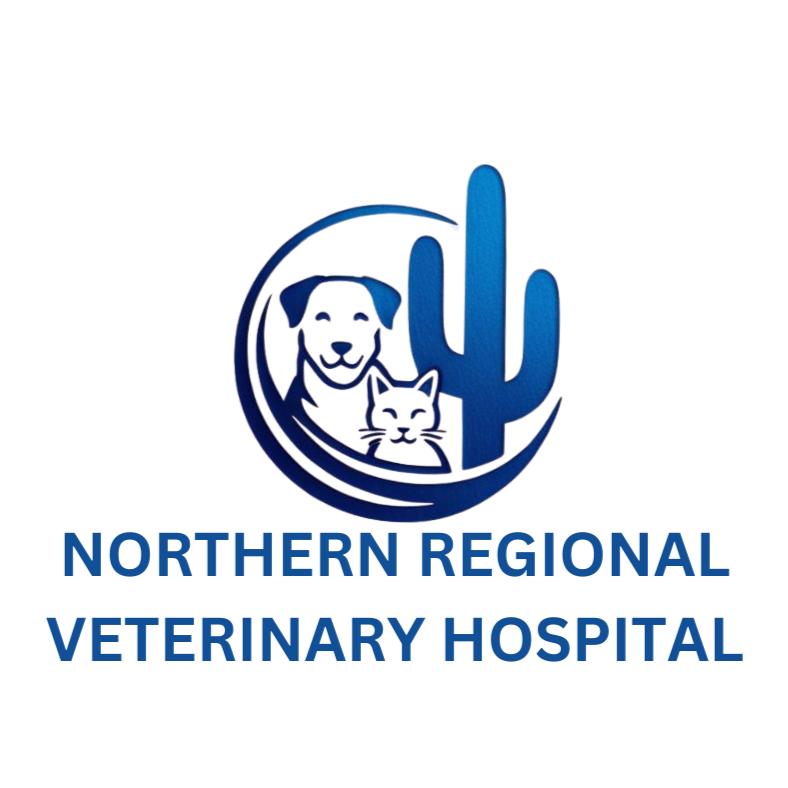Northern Regional Veterinary Hospital