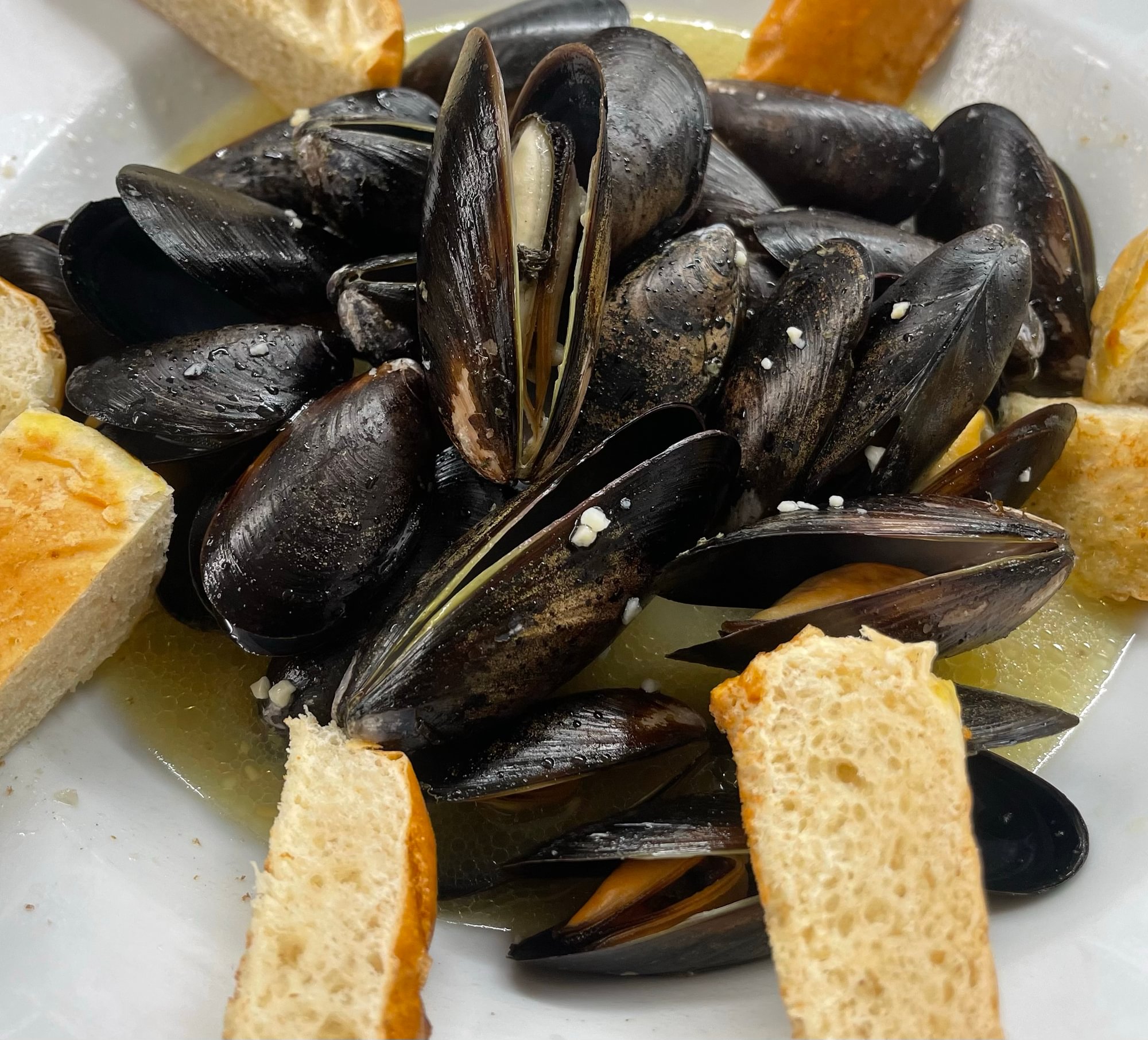 Mussels