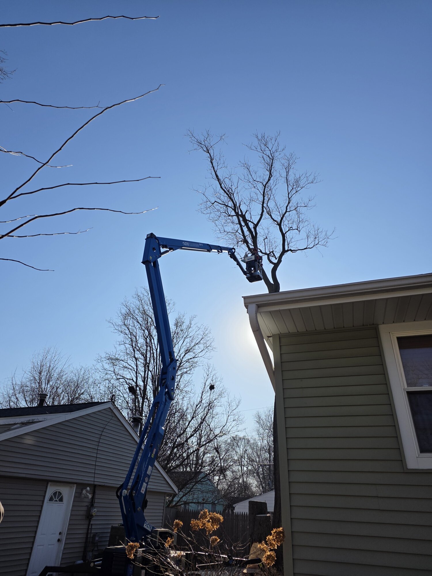 Arborist, LLC Image