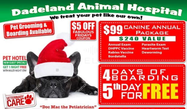 Dadeland Animal Hospital Photo