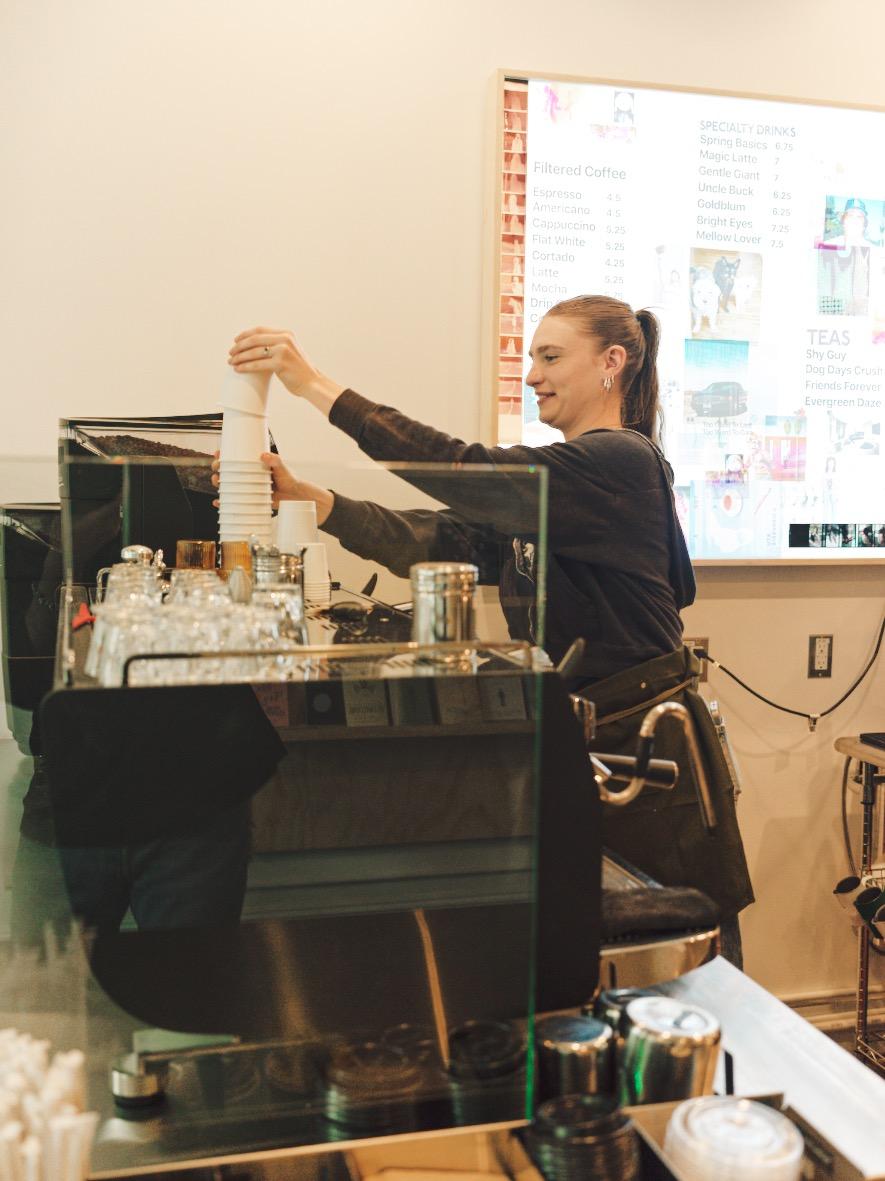 Jurassic Magic Image