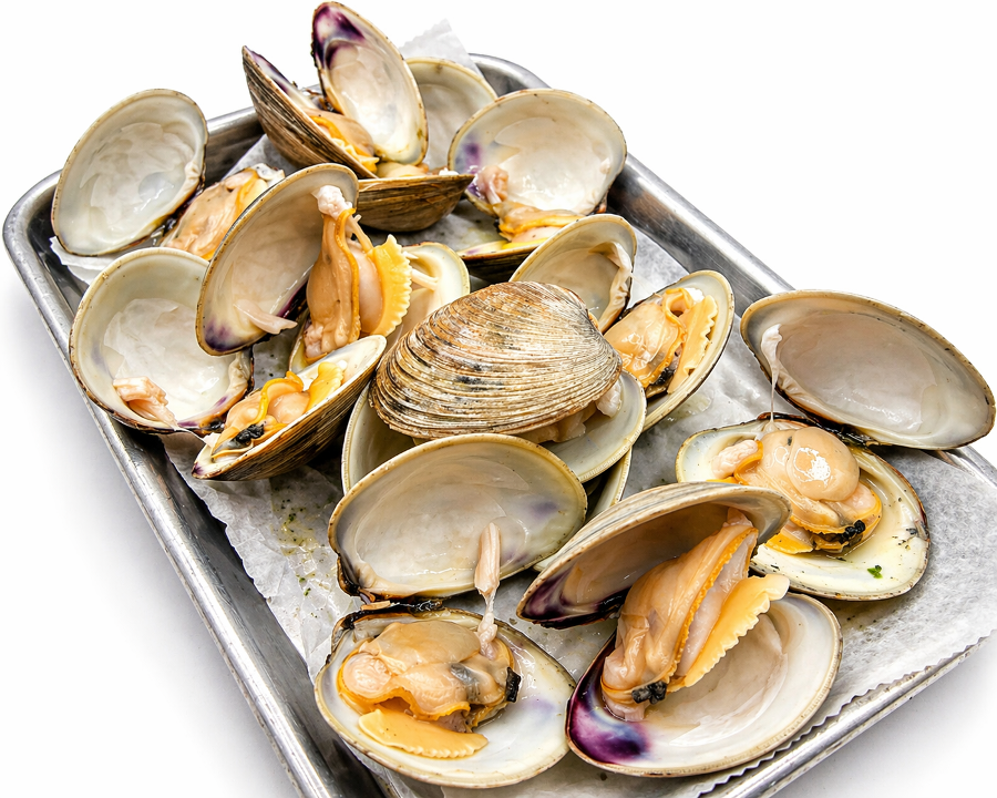 12 Clams