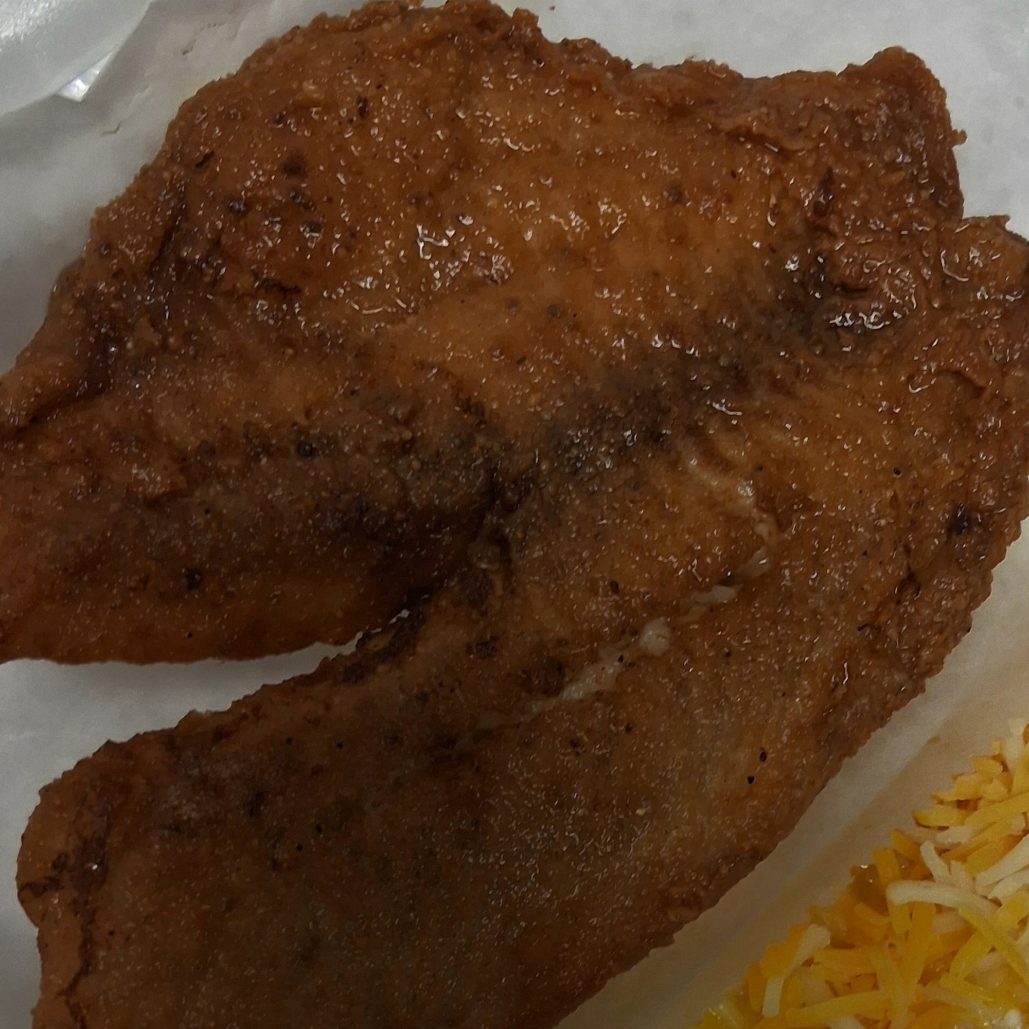 Fish
