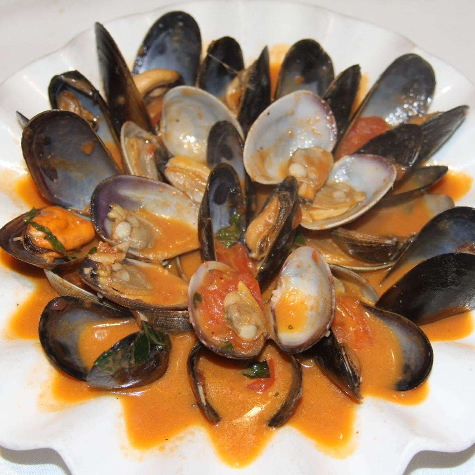 Brodo Alle Cozze e Vongole