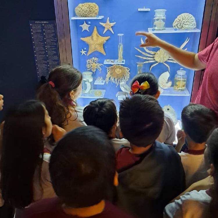 Galería en miniatura