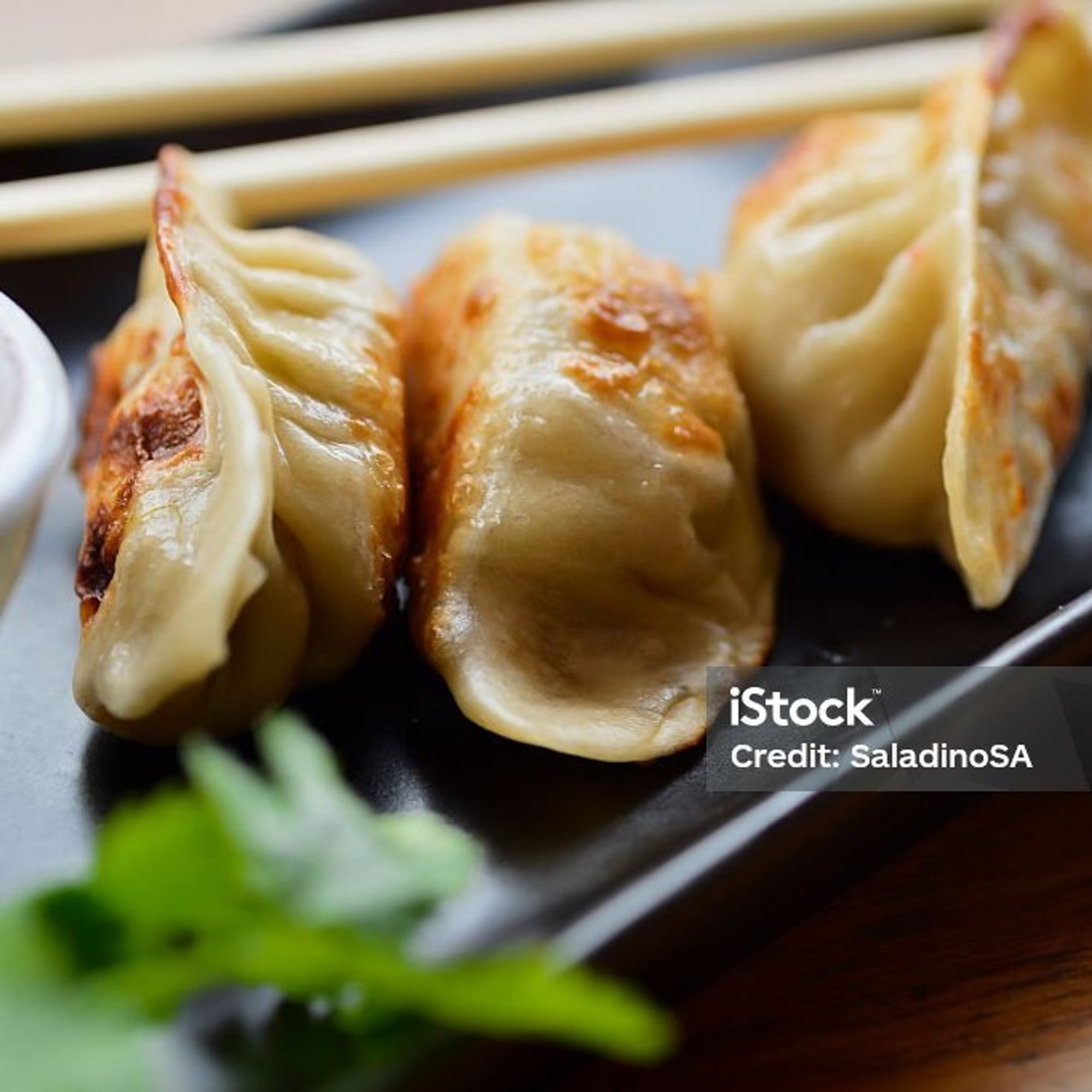 Ckn Pan Fried Momo