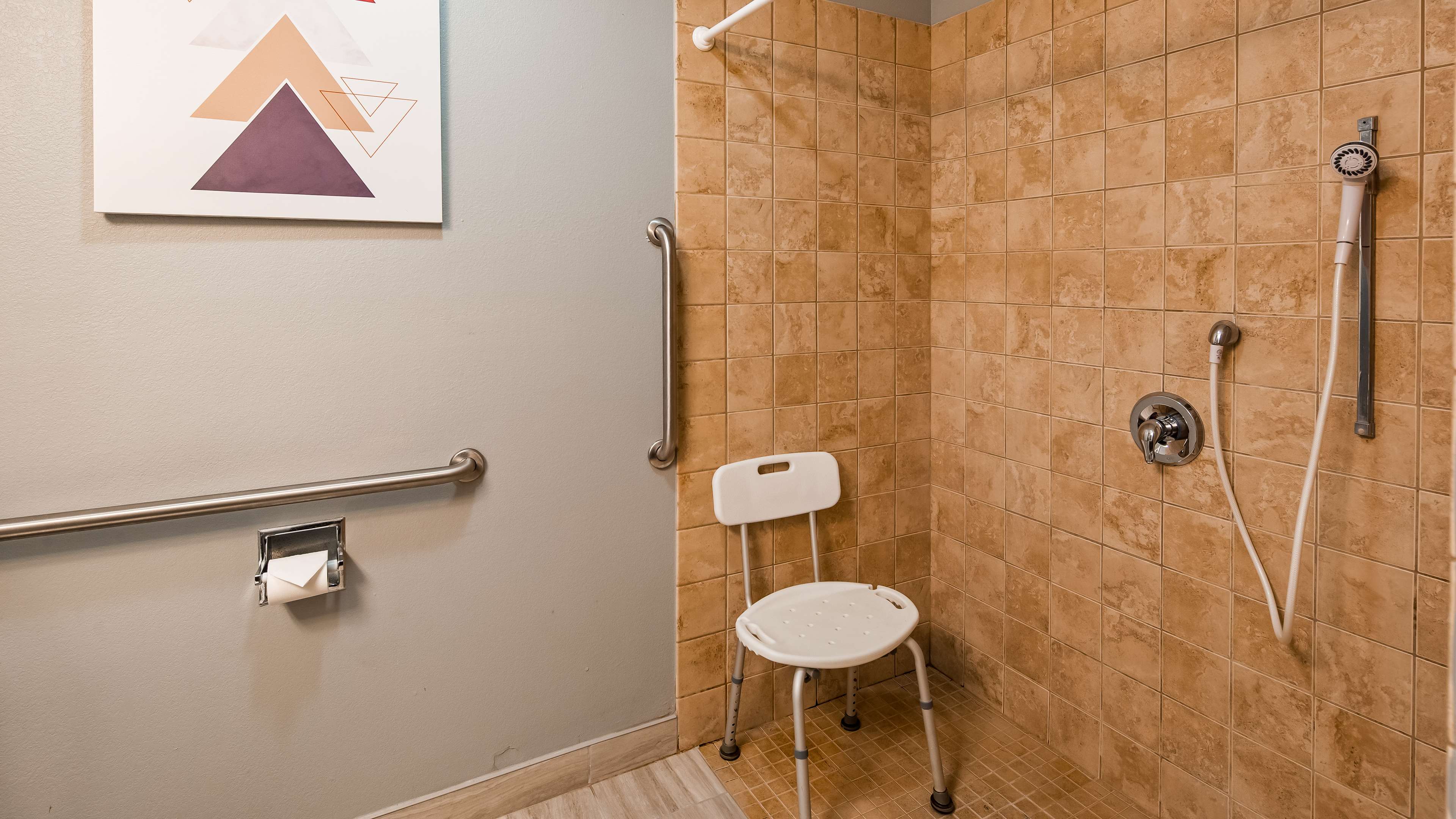 Accessible Bath - Roll-in Shower