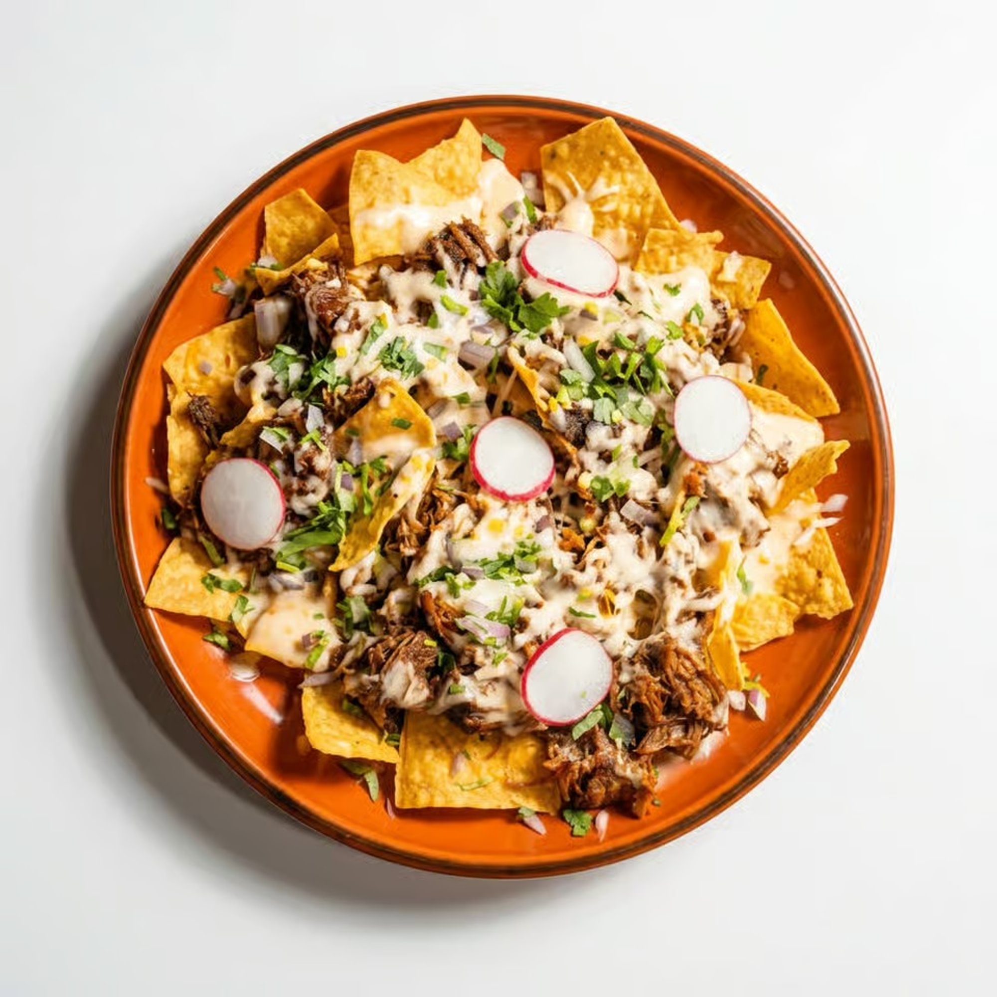 Birria Nachos