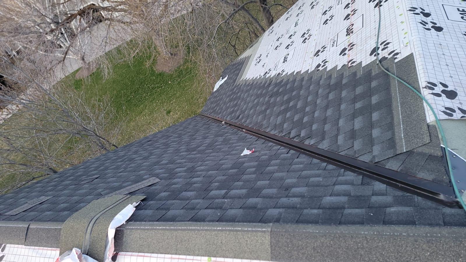 IKON Roofing Image