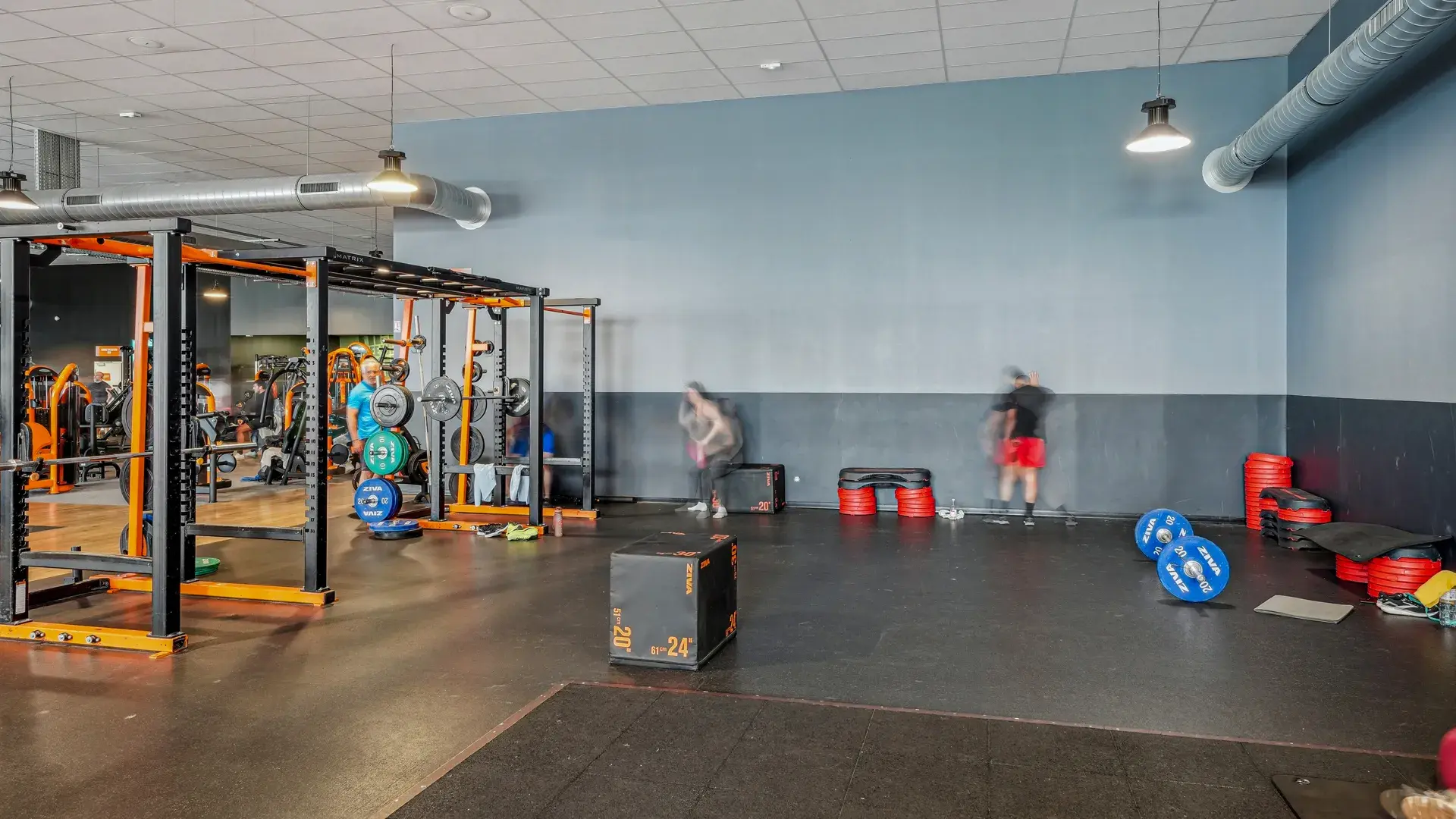 Miniature de la galerie