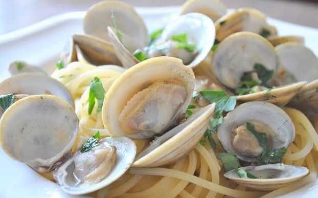 Littleneck Clams