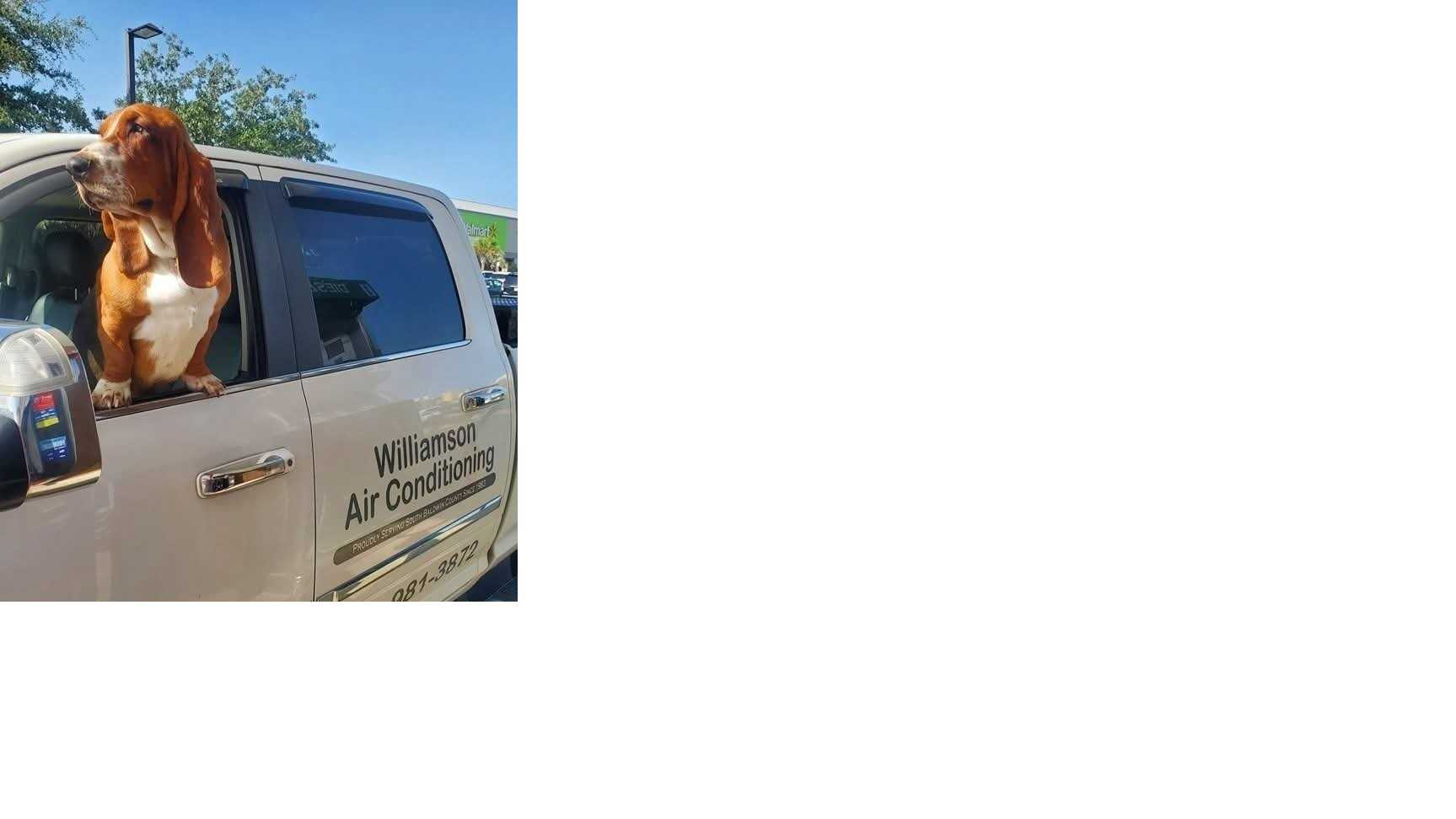 BBCR INC dba Williamson Air Conditioning in Orange Beach, AL