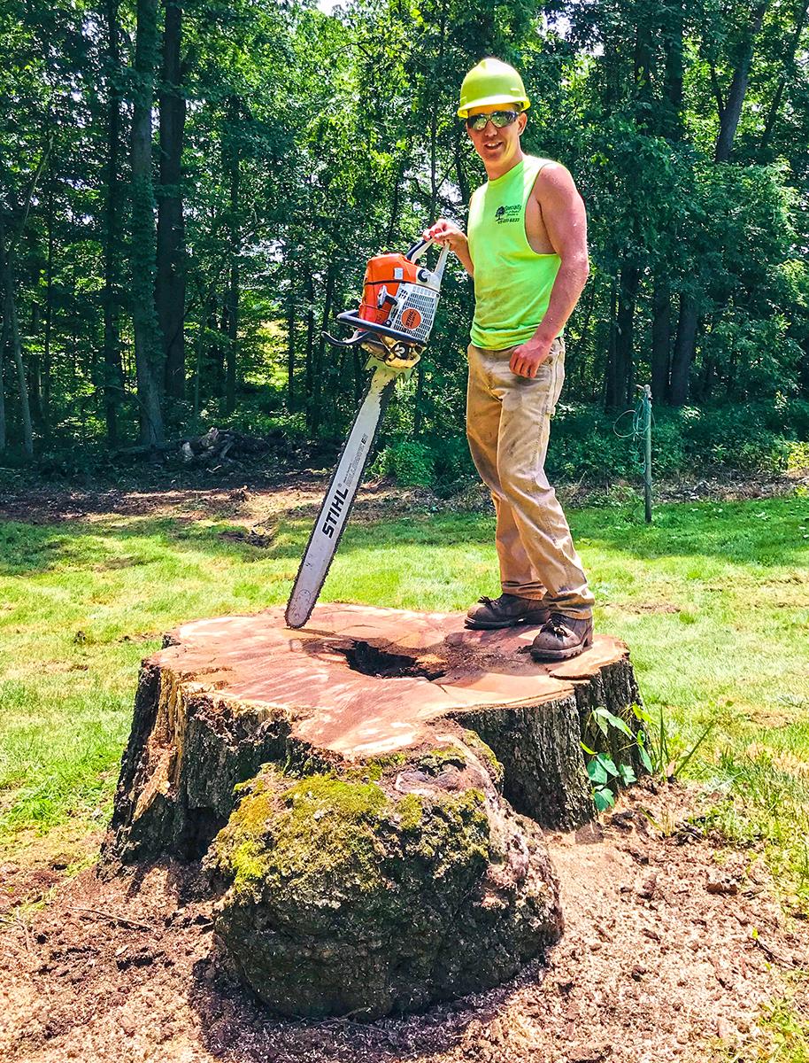 Specialty Tree & Bucket Service Image