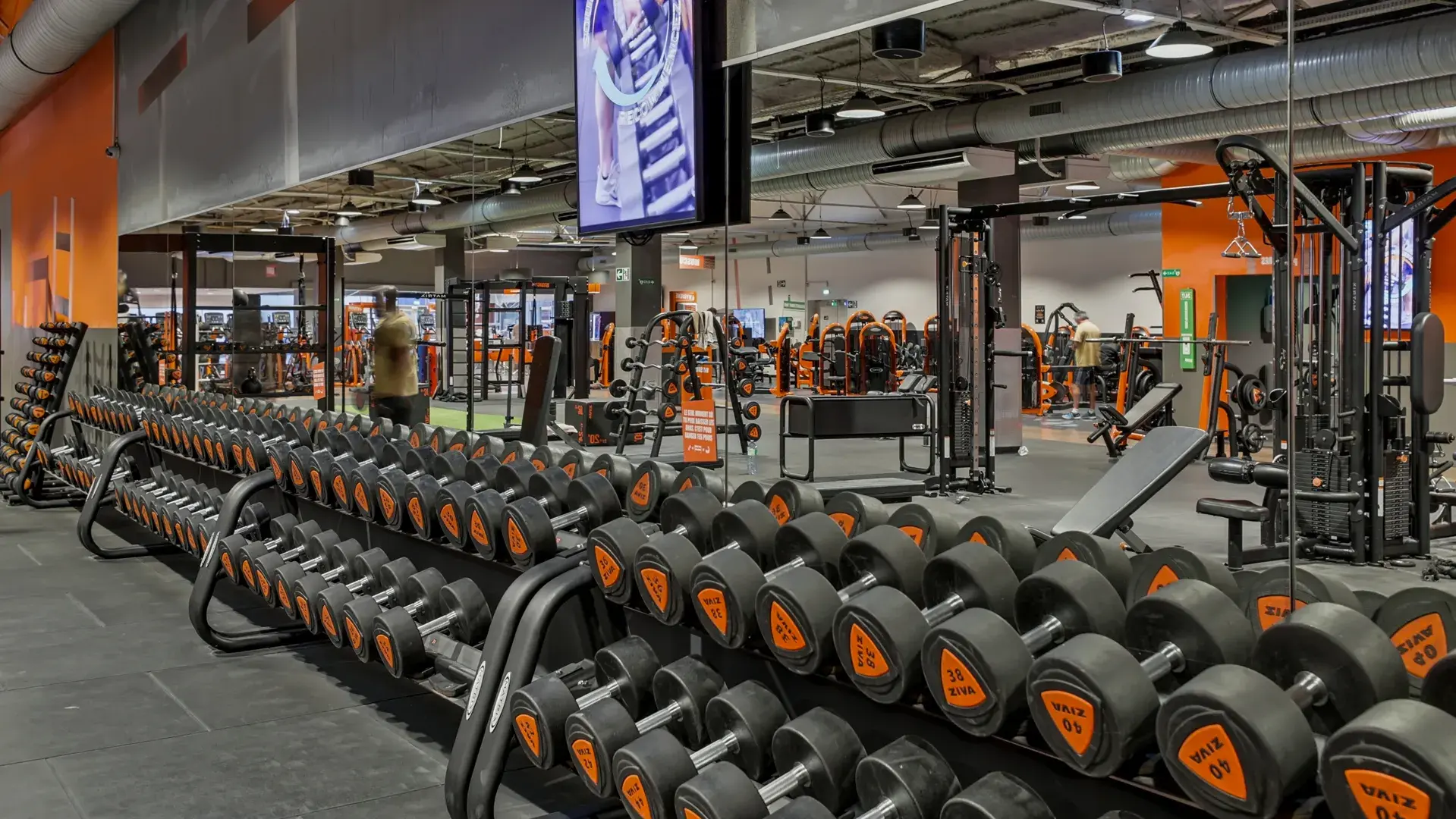 Miniature de la galerie