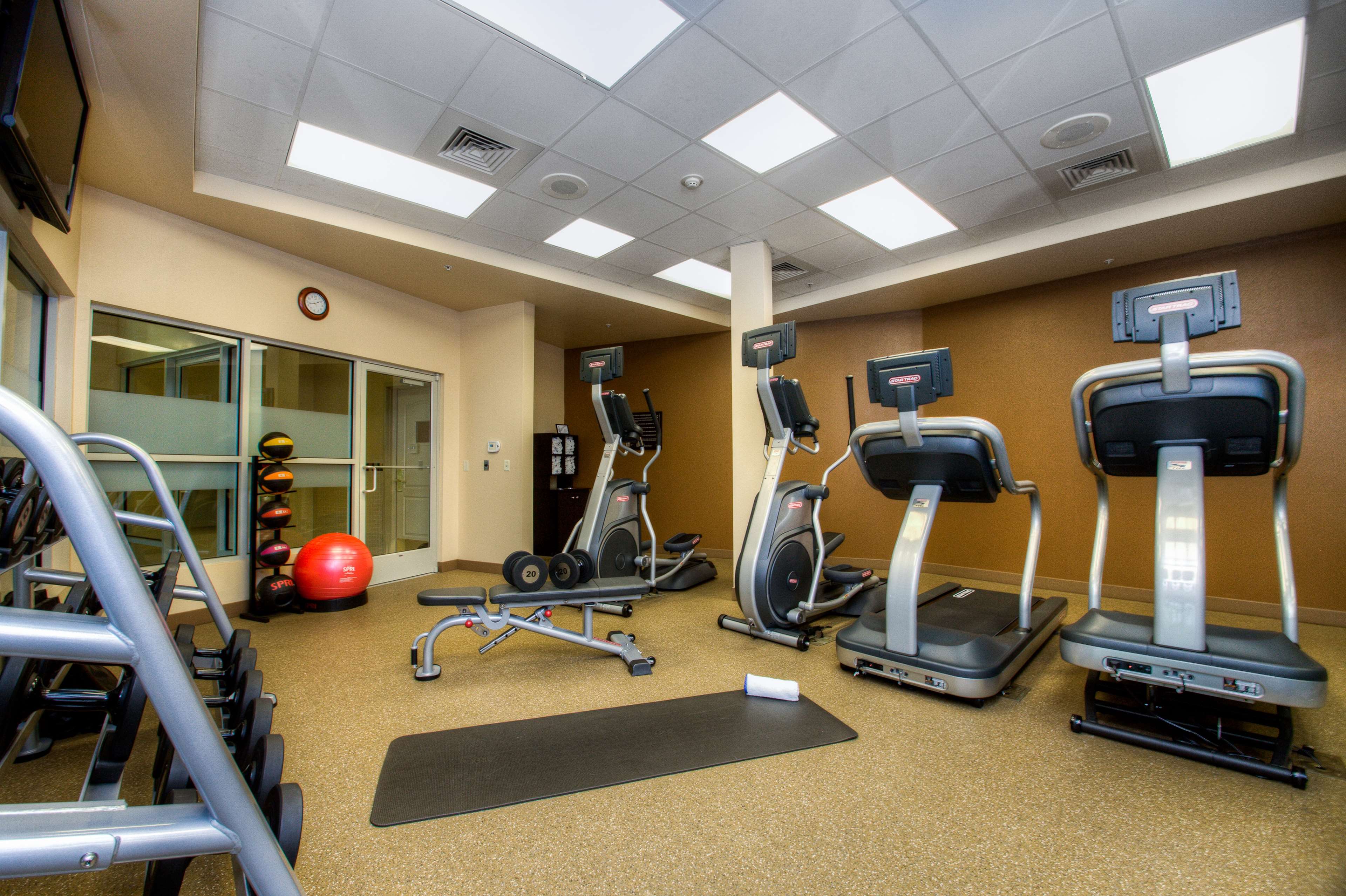 Health club  fitness center  gym