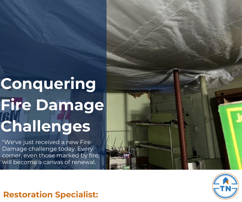 True North Restoration of Denver Image