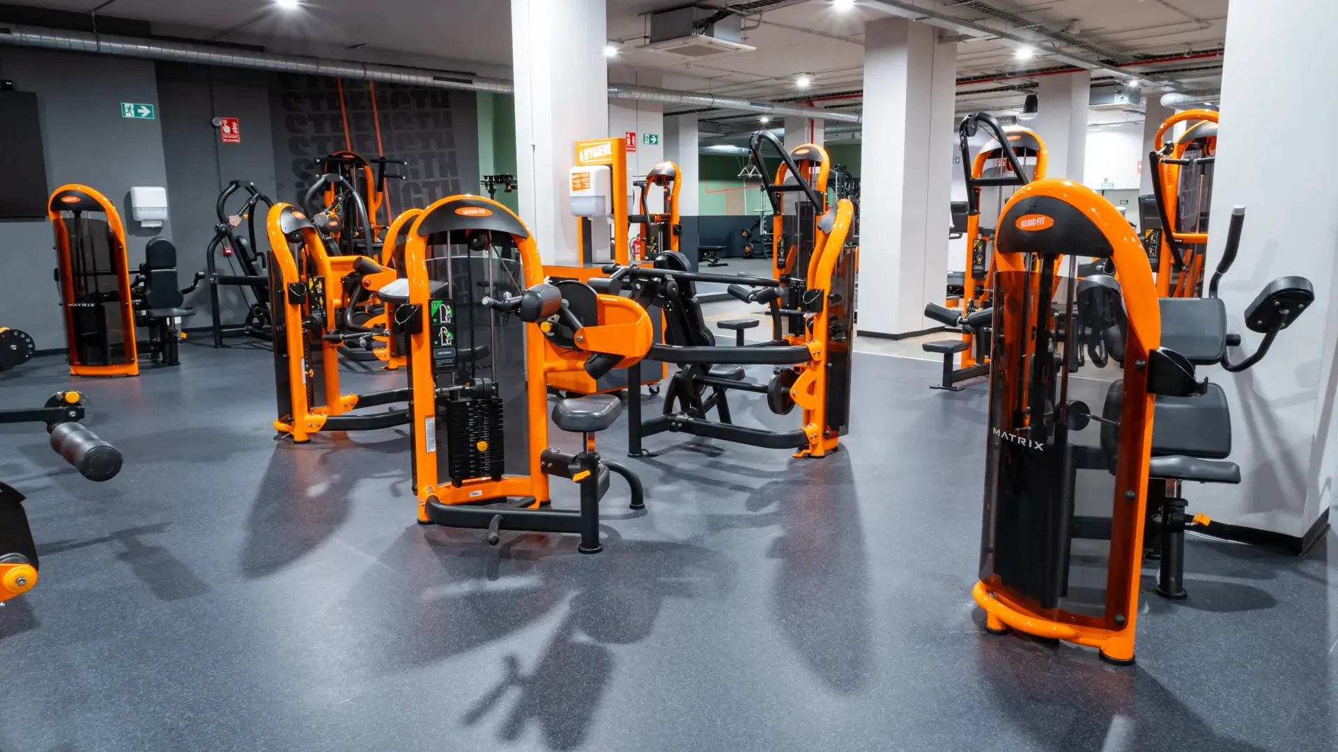 Galería en miniatura