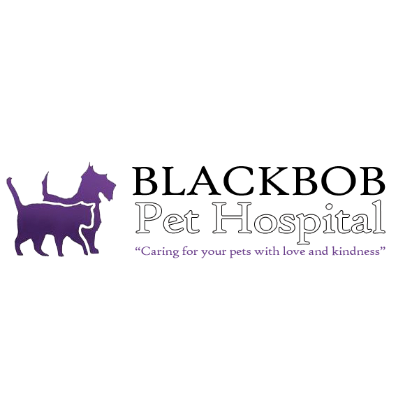 Blackbob Pet Hospital