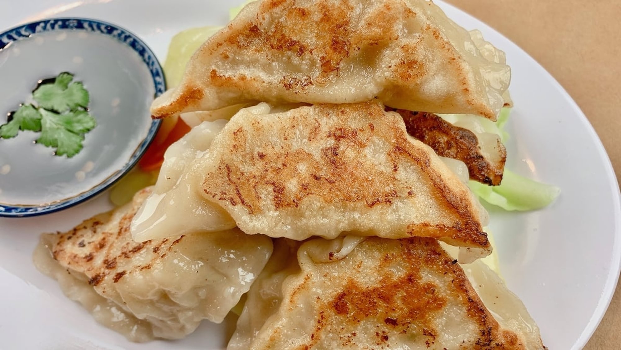 Gyoza - Chicken Dumpling