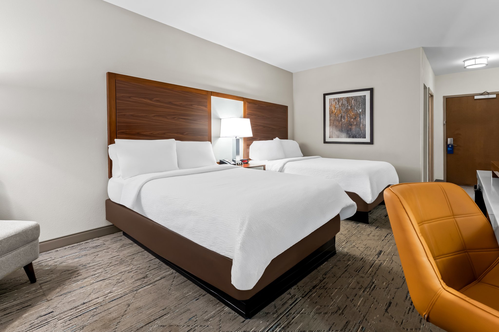 Holiday Inn Express & Suites Albany by IHG Image