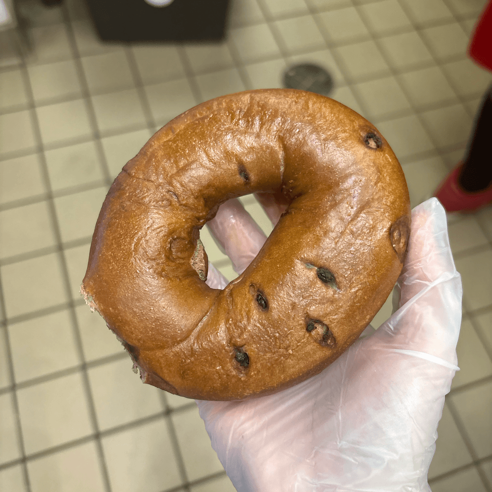 Chocolate Chip Bagel