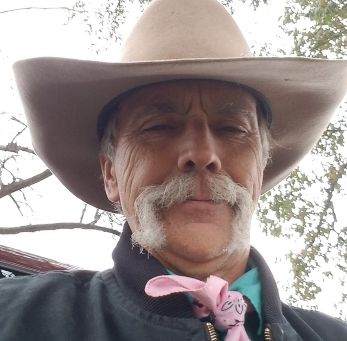 Armadillo Construction Image