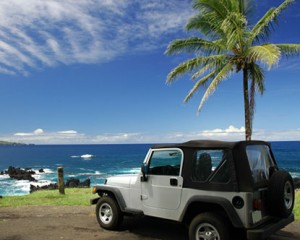 Little Hawaii Rent A Car Photo