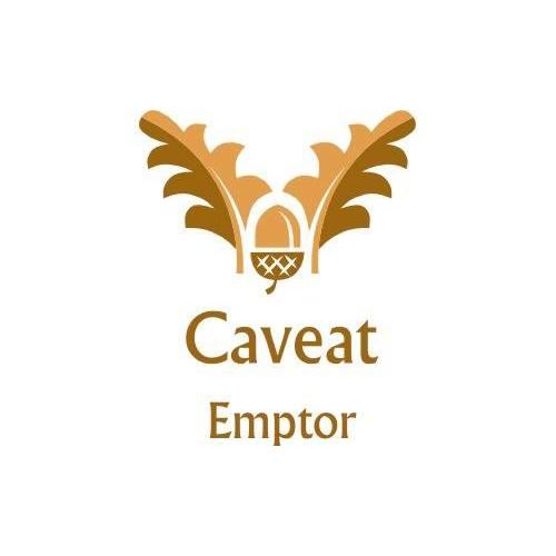 Caveat Emptor LV Home Inspections
