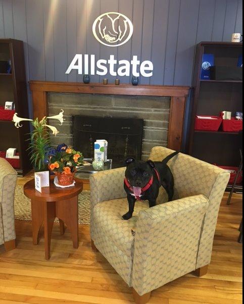Chelsea Weyant: Allstate Insurance Photo