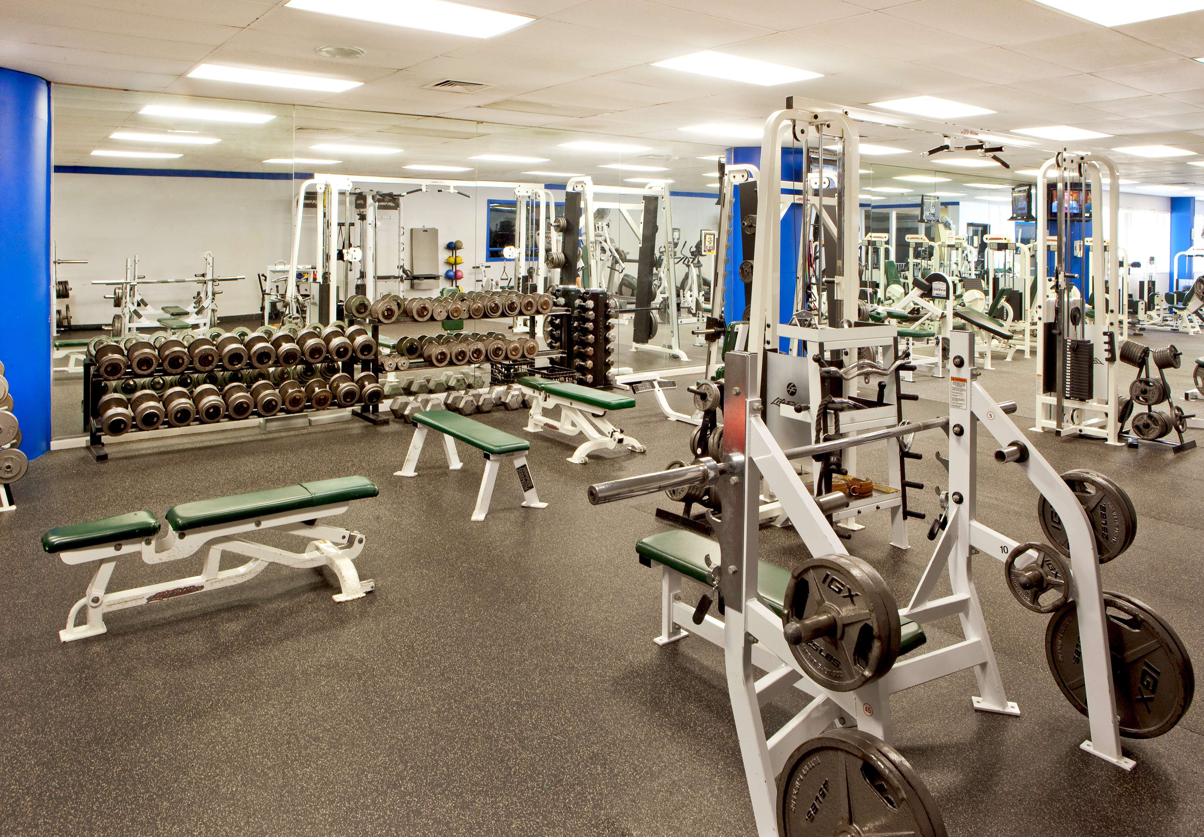 Health club  fitness center  gym