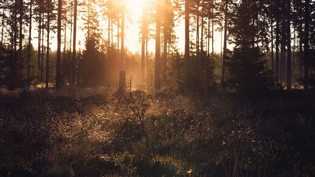 Foto de Jannebergs Kvarn AB
