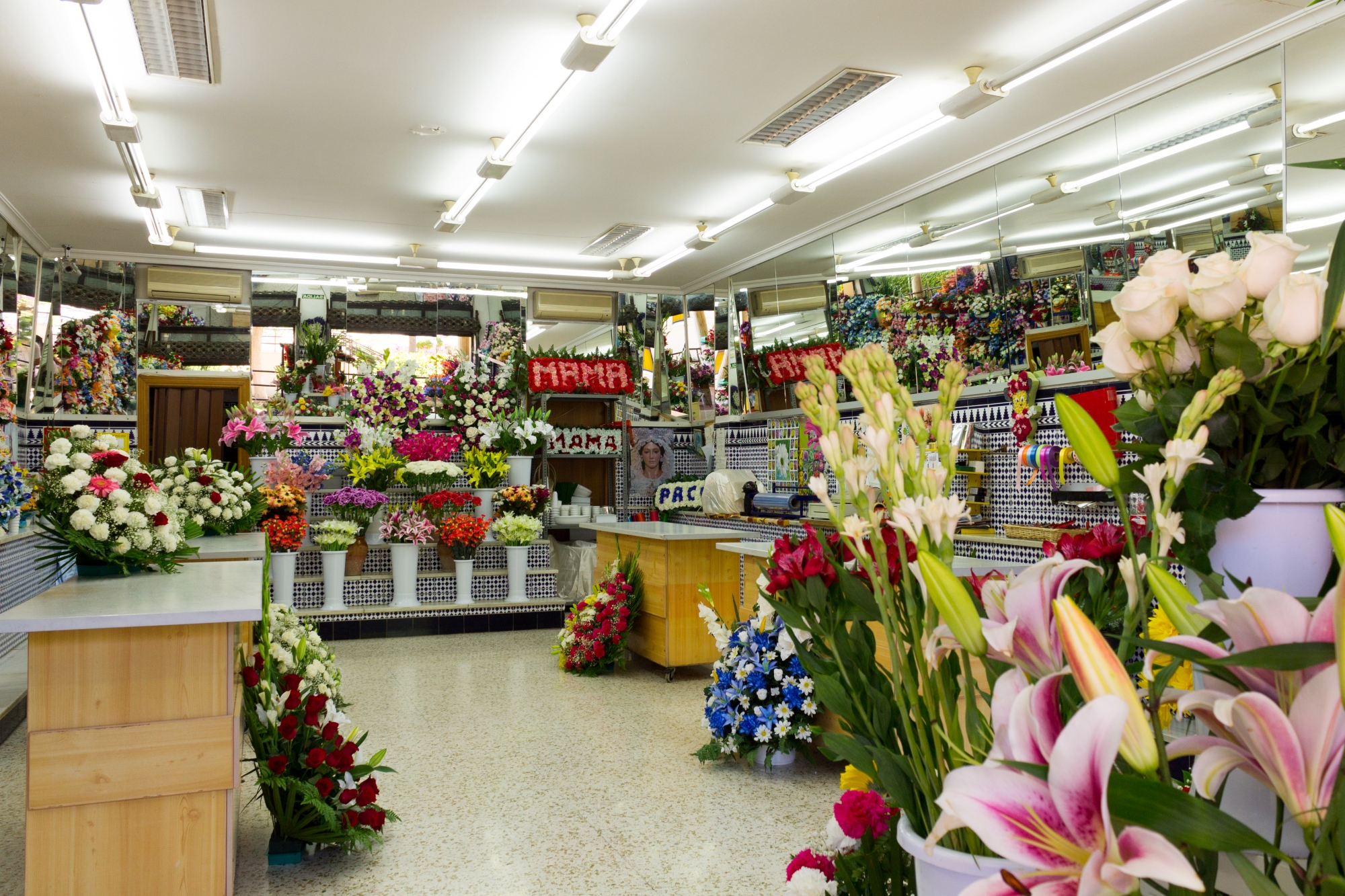 Galería en miniatura