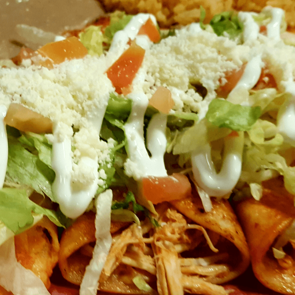 kid traditional enchilada combo