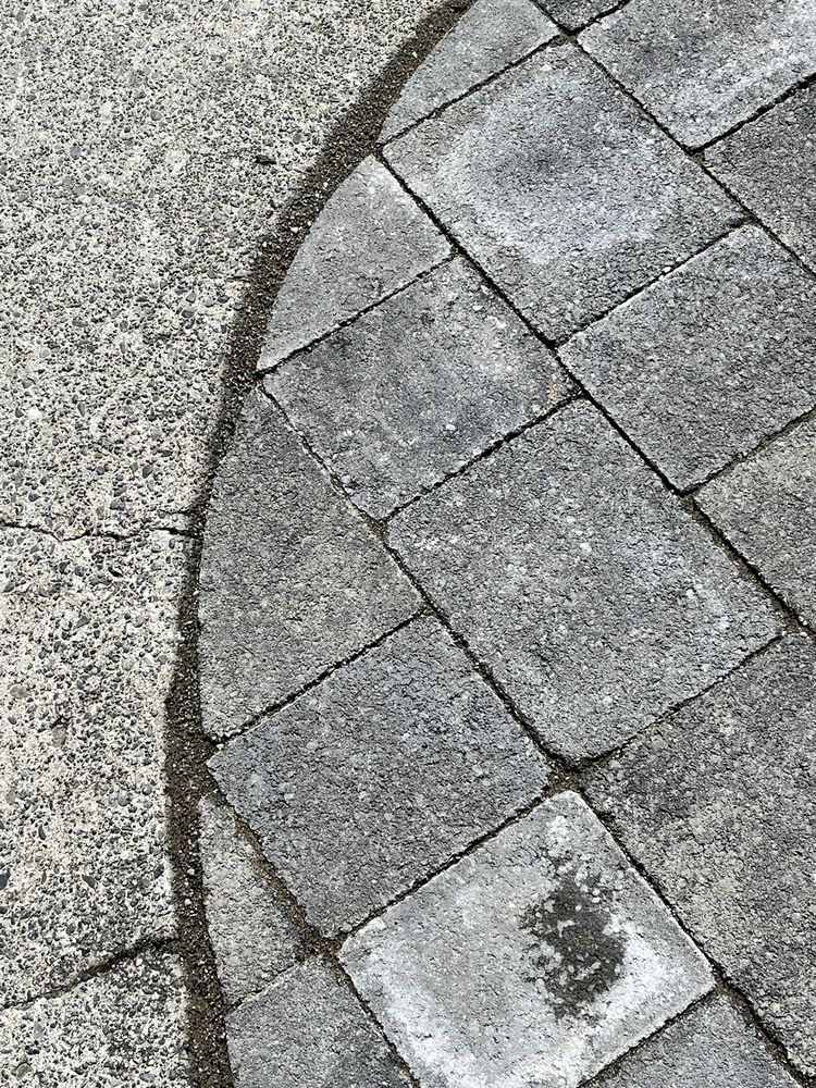 Solid Ground Landscape Image