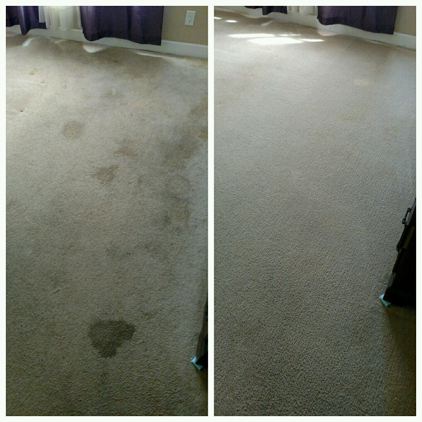 Suncoast Floor Cleaning Photo