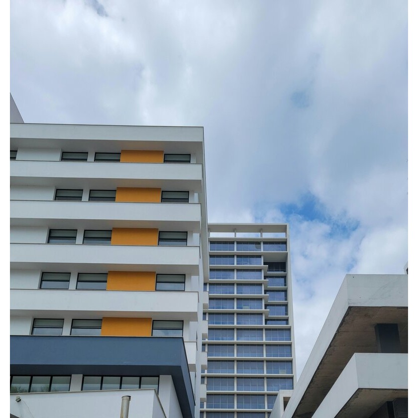 Franc Painting Image