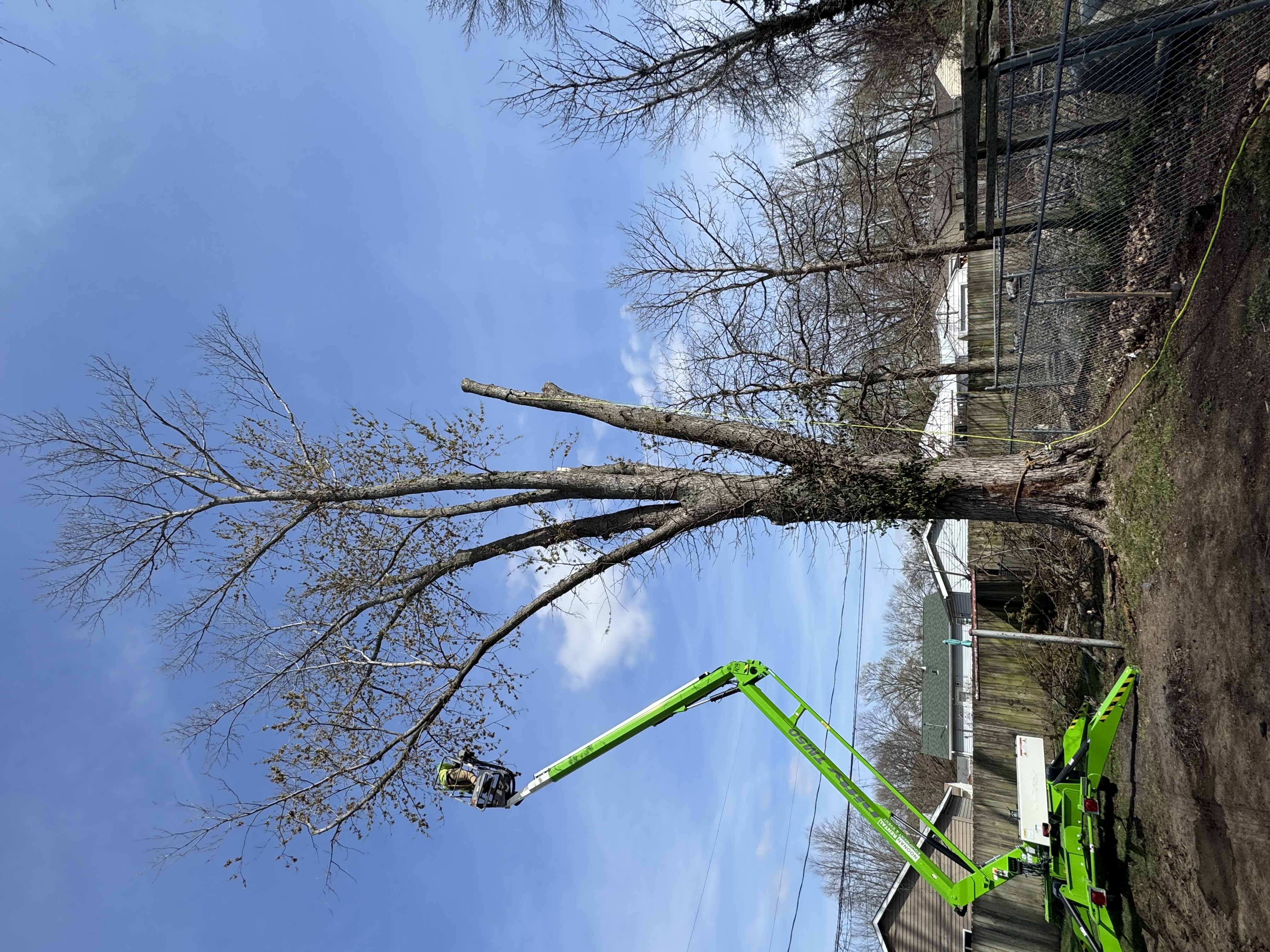 Reed Louis & Pierce Image