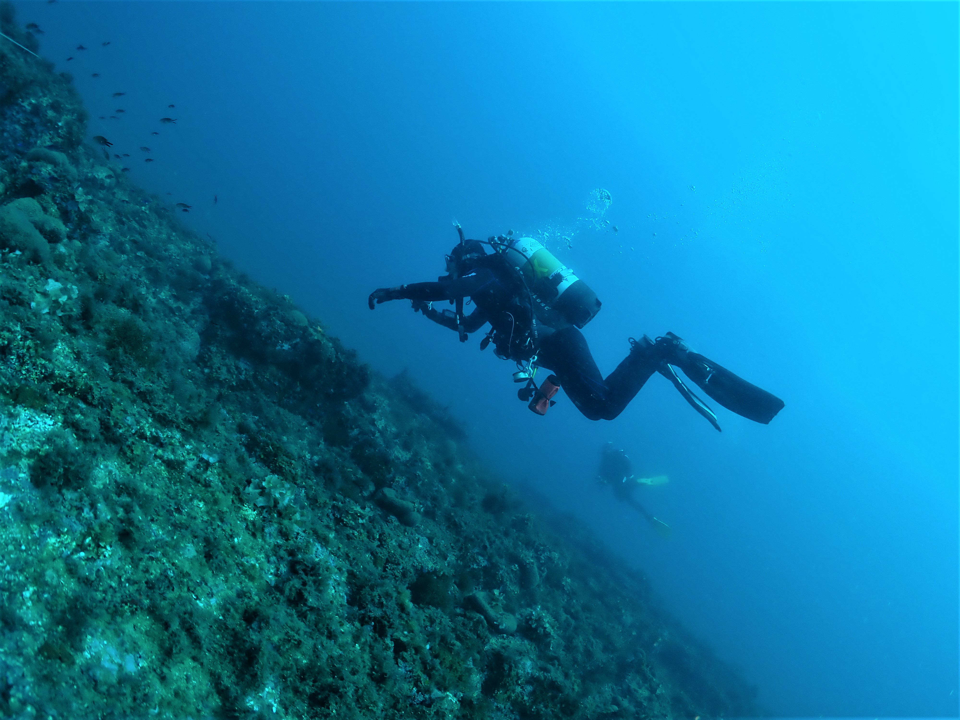 Images Blaumar Dive Center