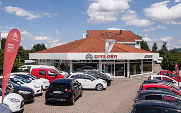 Galerie-Thumbnail