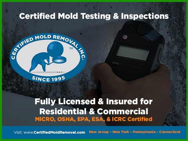 Certified Mold Testing & Inspections in New Jersey, Pennsylvania, Connecticut & New York - Fully Licensed & Insured for Residential and Commercial