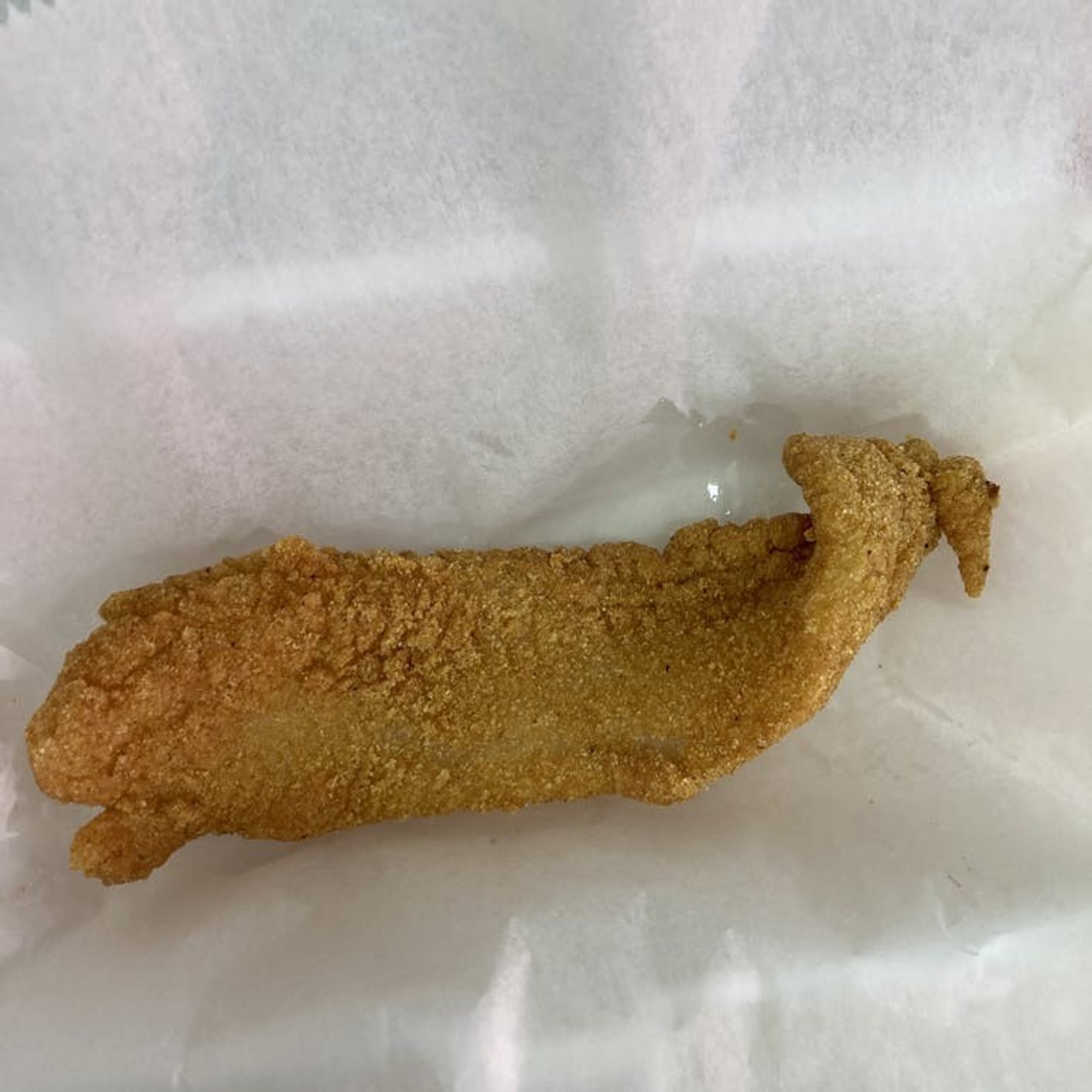 Fish Fillet
